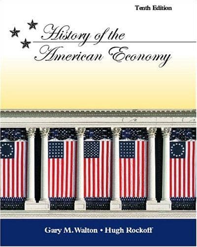 History of the American Economy
