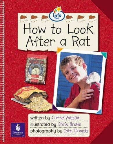 How to Look after a Rat