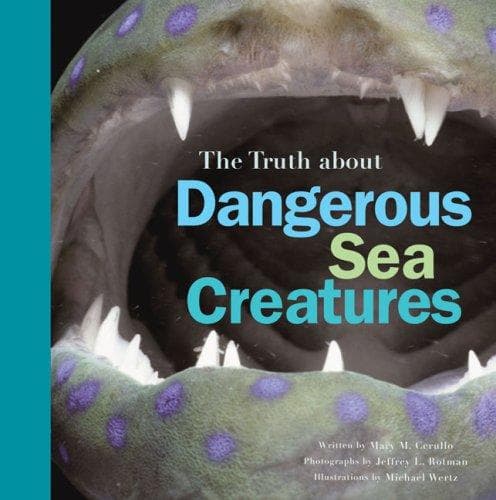 Truth About Dangerous Sea Creatures