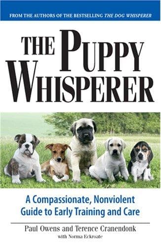 The puppy whisperer