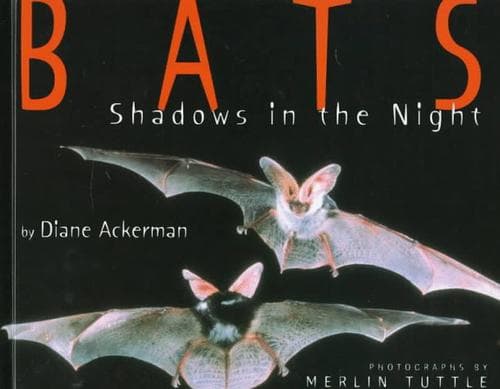 Bats