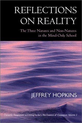 Reflections on Reality: The Three Natures and Non-Natures in the Mind-Only School