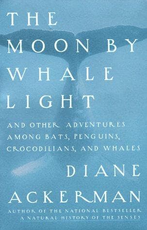 The moon by whale light