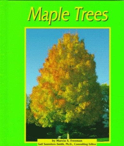 Maple trees