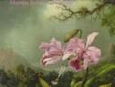 Martin Johnson Heade