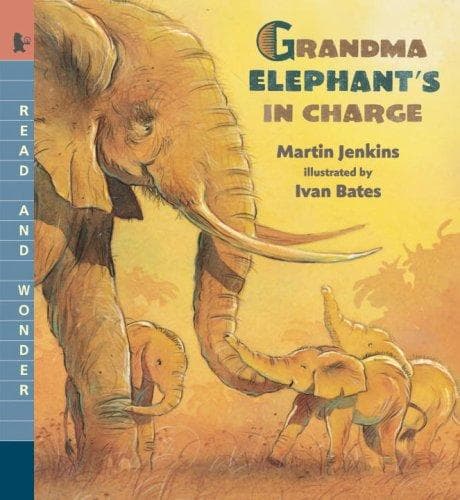 Grandma Elephant's in charge