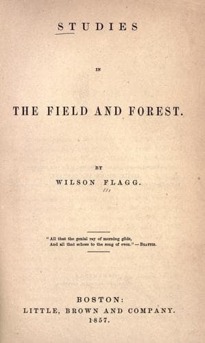 Studies in the field & forest