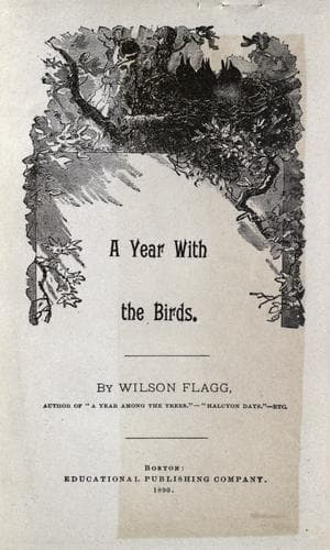 A year with the birds