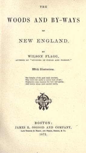 The woods and by-ways of New England