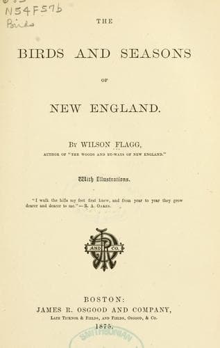 The birds and seasons of New England