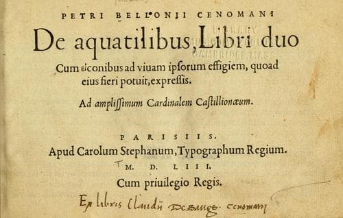 Petri Bellonii Cenomani De aquatilibus