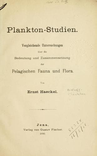 Plankton-Studien