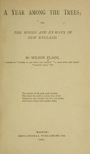 A year among the trees; or, The woods and by-ways of New England