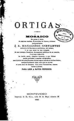 Violetas y Ortigas