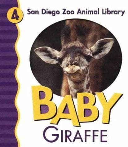Baby giraffe