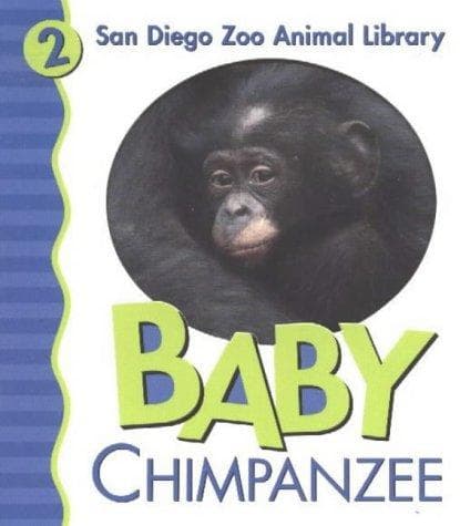 Baby chimpanzee