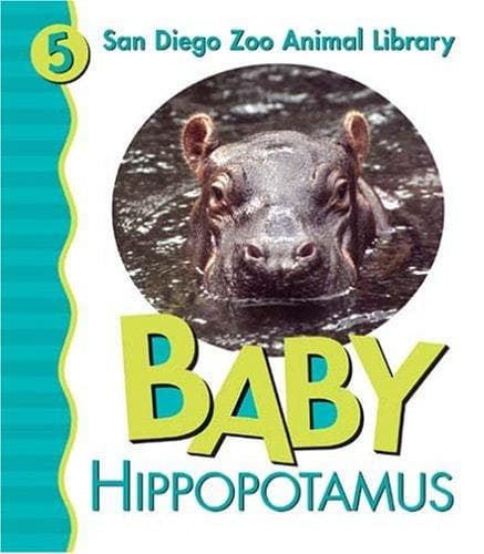 Baby hippopotamus