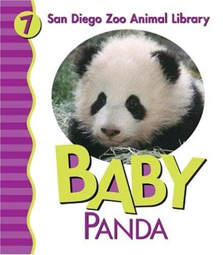 Baby panda