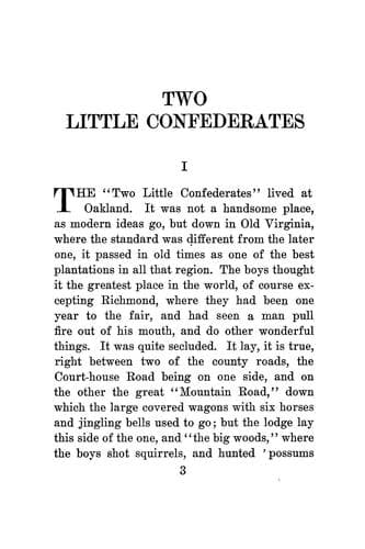 Two little Confederates