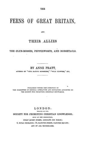The ferns of Great Britain, and their allies the club-mosses, pepperworts, and horsetails