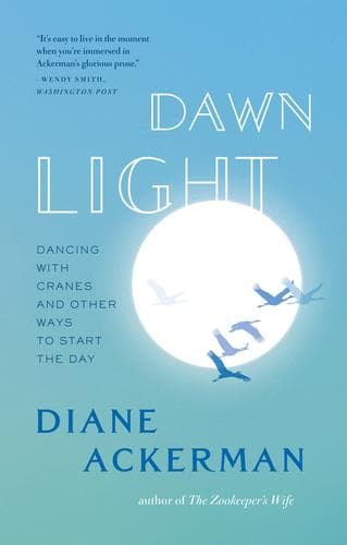 Dawn light