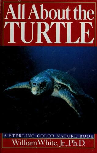 All about the turtle