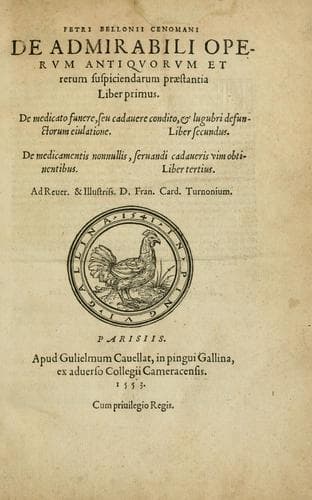 P. Bellonii cenomani De arboribus coniferis, resiniferis, aliis quoque nonnullis sempiterna fronde virentibus, cum earundem iconibus ad viuum expressis