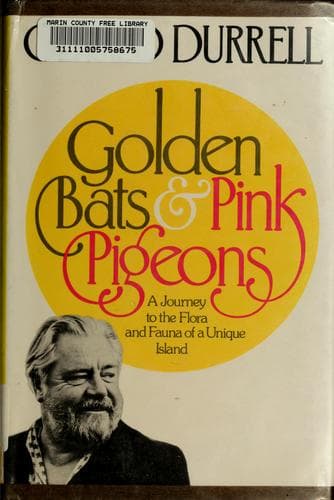 Golden Bats & Pink Pigeons