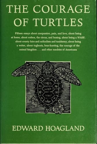The courage of turtles