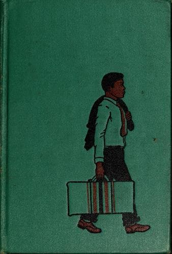 Joe Sunpool