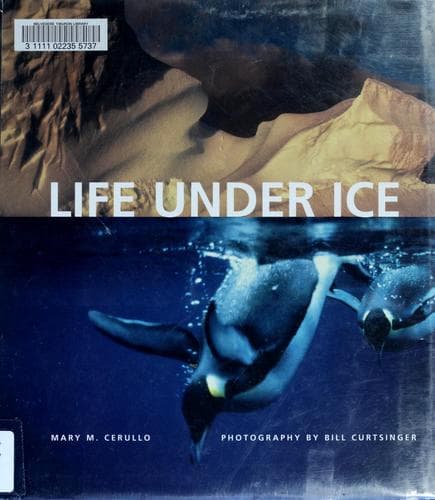 Life under ice
