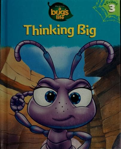 Thinking big