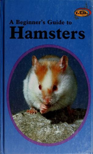 A beginner's guide to hamsters