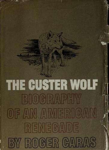 The Custer Wolf