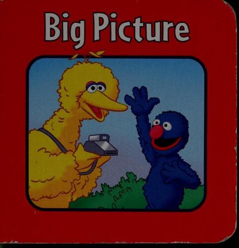 Big picture