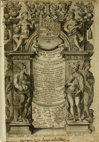 Rerum medicarum Novae Hispaniae thesaurus, seu, Plantarum animalium mineralium Mexicanorum historia