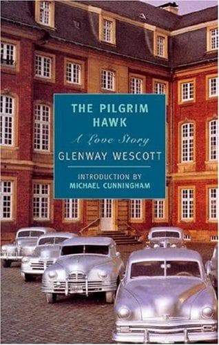 The pilgrim hawk