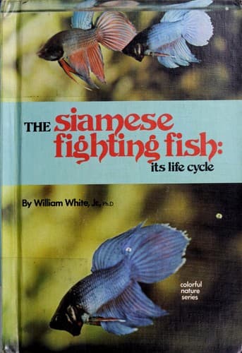 The Siamese fighting fish, its life cycle