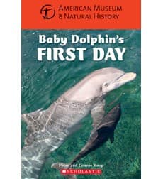 Baby Dolphin's First Day