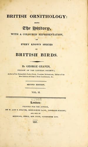 British ornithology
