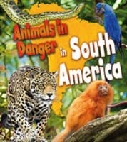 Animals In Danger In South America