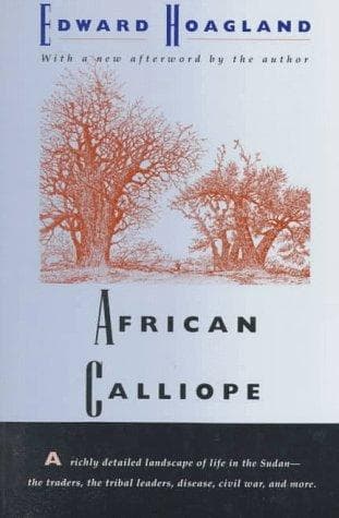 African calliope