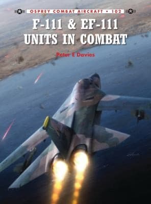 USAF FEF111 Units in Combat
            
                Combat Aircraft