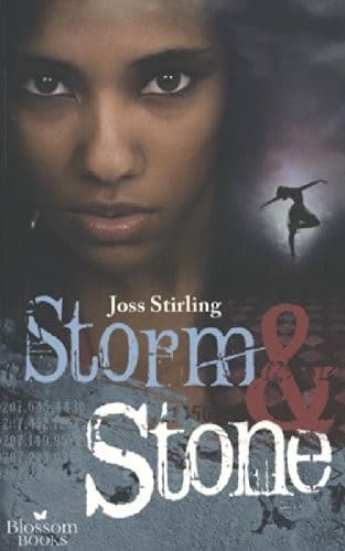 Storm & Stone (Dutch Edition)