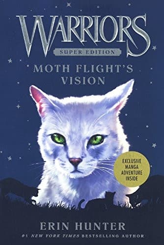 Moth Flight's Vision