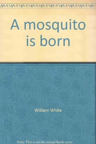A mosquito is born