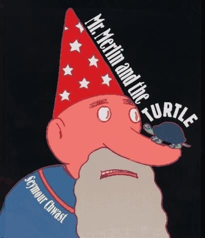 Mr. Merlin and the turtle