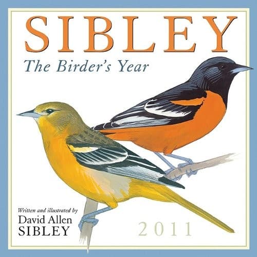 Sibley: The Birders Year 2011 Wall Calendar (Calendar)