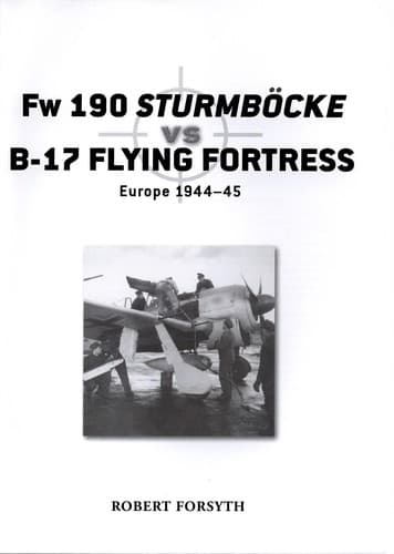 Fw 190 Sturmböcke vs B-17 Flying Fortress