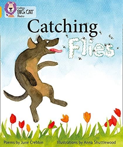 Catching Flies (Collins Big Cat)